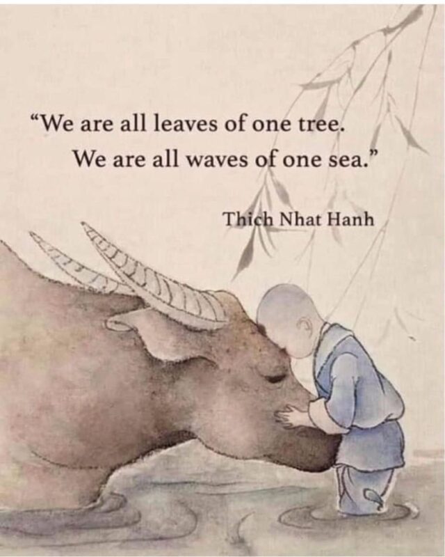 https://unstoppabledivine.com/wp-content/uploads/2024/02/3-640x800.jpg